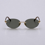 Lentes de Sol Roma